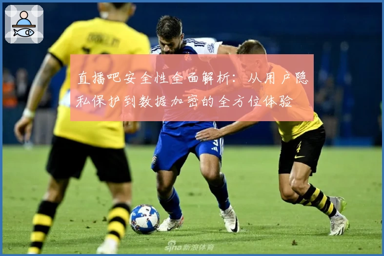 直播吧安全性全面解析：从用户隐私保护到数据加密的全方位体验